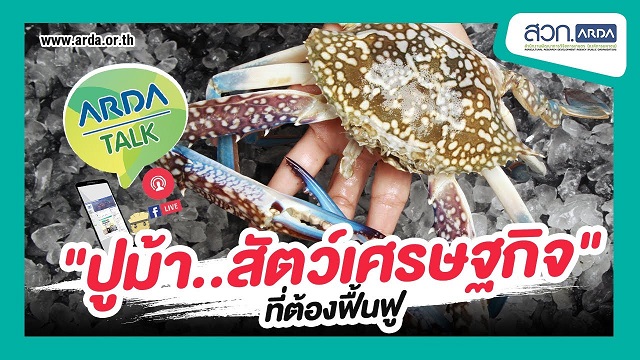 ปูม้า สัตว์เศรษฐกิจ ที่ต้องฟื้นฟู