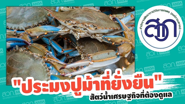 แผนยุทธศาสตร์ปูม้า เพื่อพัฒนาทางการประมงปูม้าที่ยั่งยืน